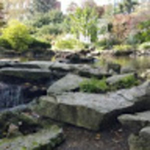 Meet your Posher, Steve